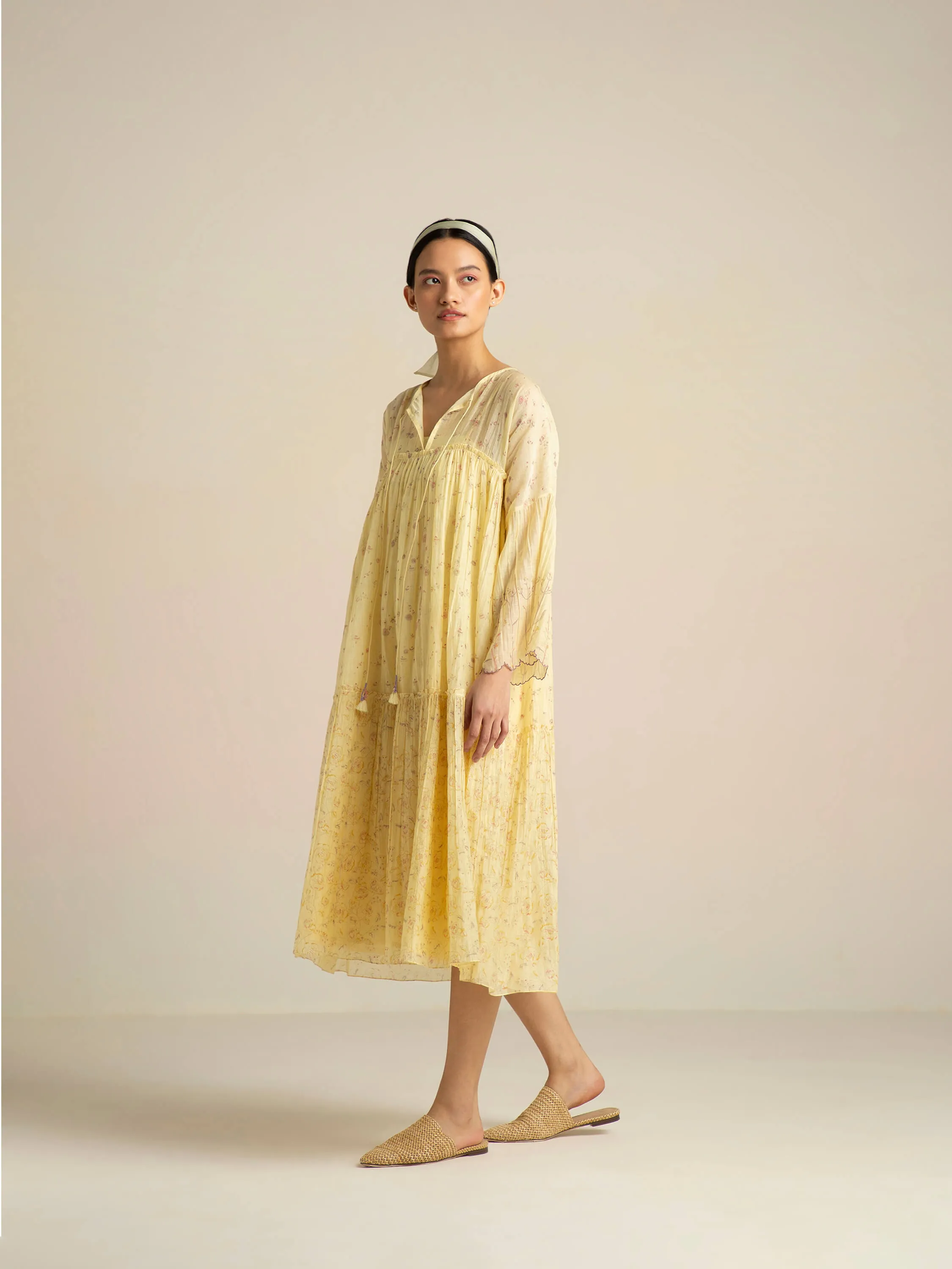Hummingbird Tier Dress