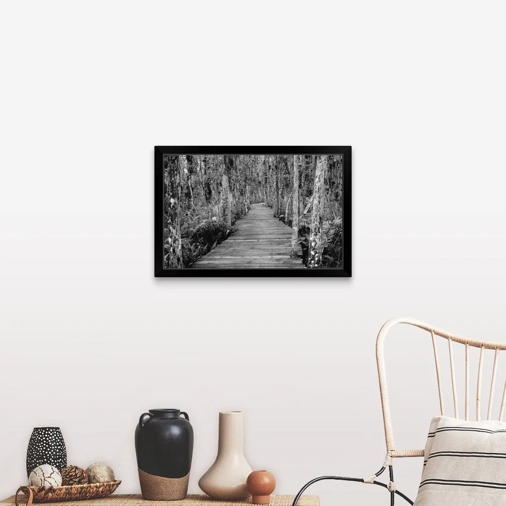 "Boardwalk Through Everglades Florida, USA" Black Framed Print
